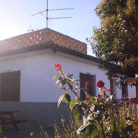 Casa Los Olivos Grávalos Buitenkant foto